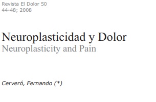 Neuroplasticidad y dolor