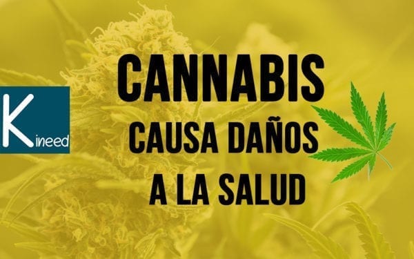 Canabis hace mal
