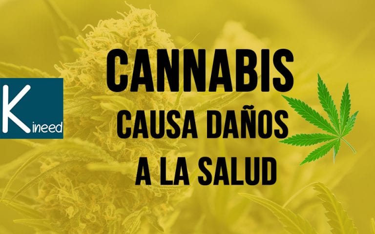 Canabis hace mal