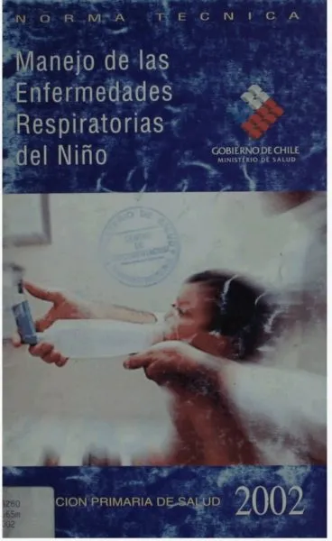 Score IRA para guía clínica de kinesiología y fisioterapia