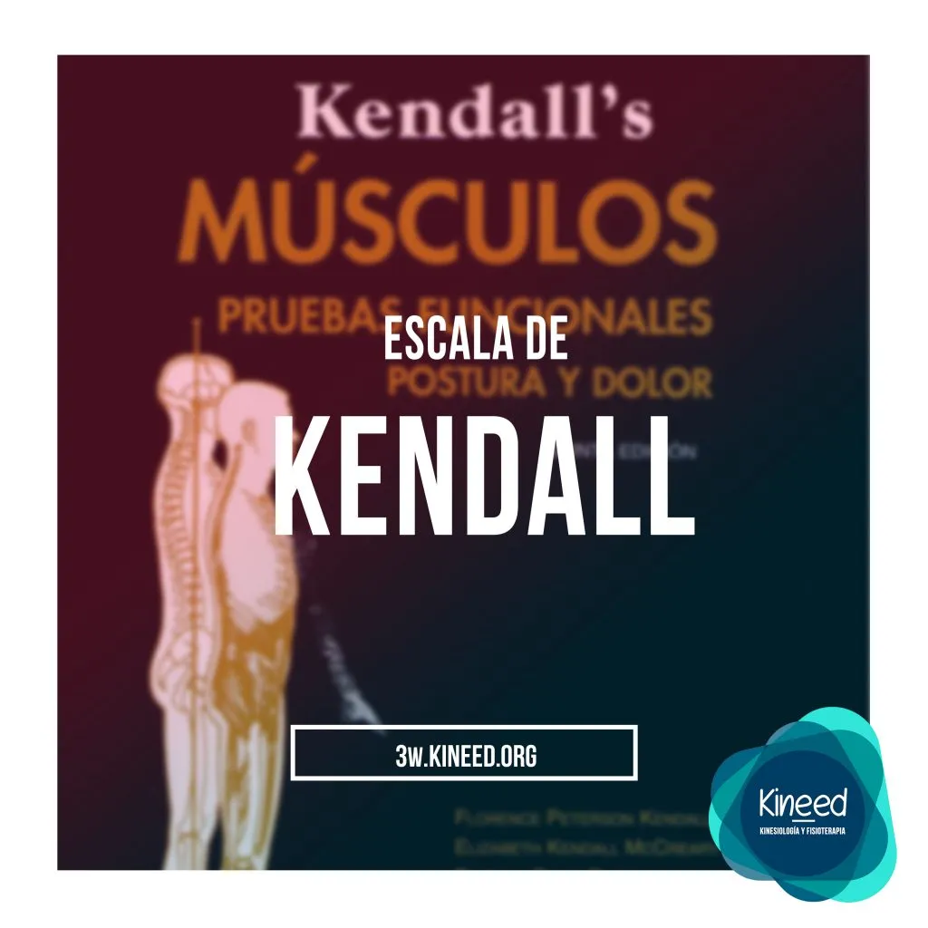 Escala muscular de Kendall
