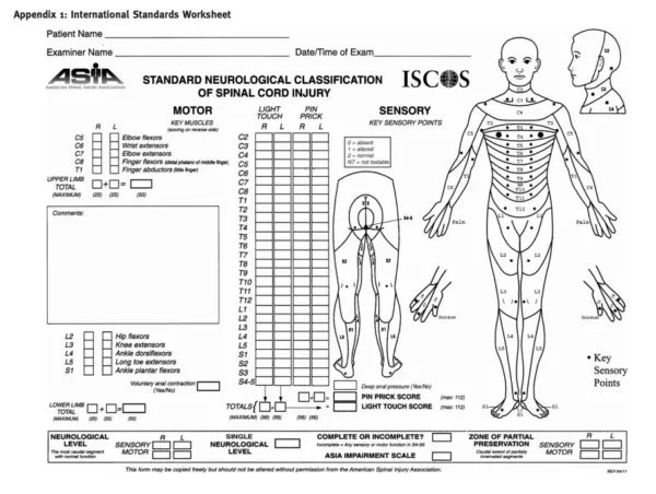 Escala de ASIA para guía clínica de kinesiología y fisioterapia