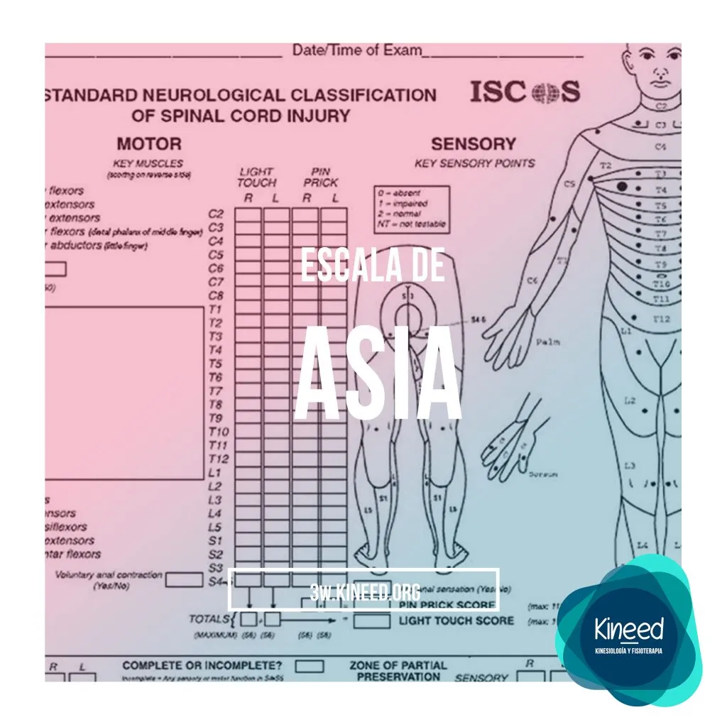 Escala de asia (a)