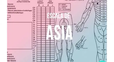 Escala de asia (a)