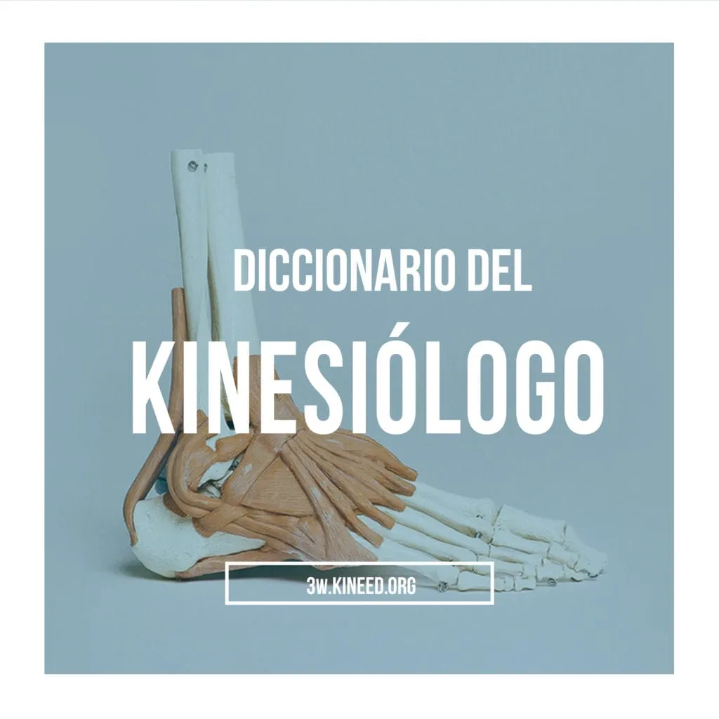 Diccionario del Fisioterapeuta