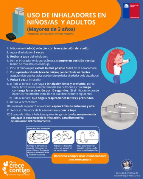 Melani et al relacionado con Cómo se usa el inhalador en kinesiología y fisioterapia
