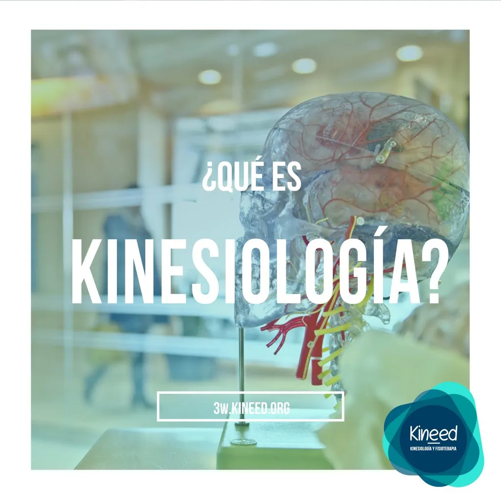 que es kinesiologia - fisioterapia y kinesiología Kineed