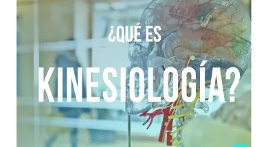 que es kinesiologia - fisioterapia y kinesiología Kineed