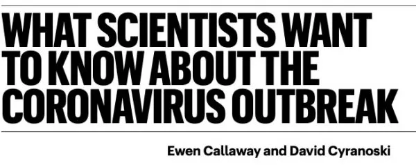 Coranovirus 3 scaled relacionado con Coronavirus en kinesiología y fisioterapia