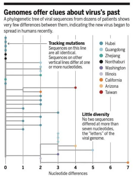 Coranovirus 4 scaled relacionado con Coronavirus en kinesiología y fisioterapia