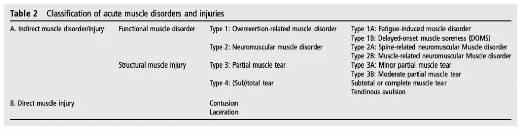 Telerehabilitación relacionado con Desgarros musculares en kinesiología y fisioterapia