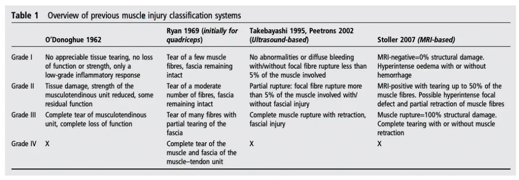 Telerehabilitación relacionado con Desgarros musculares en kinesiología y fisioterapia