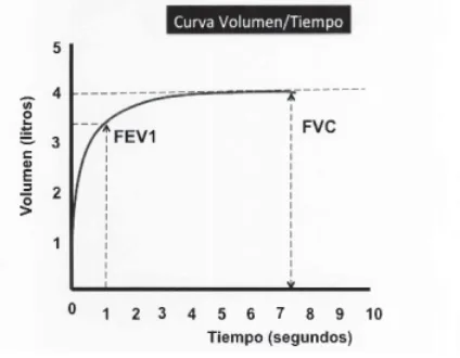 Manual espirometria 2024 relacionado con Cómo se realiza la interpretación de una espirometría en kinesiología y fisioterapia