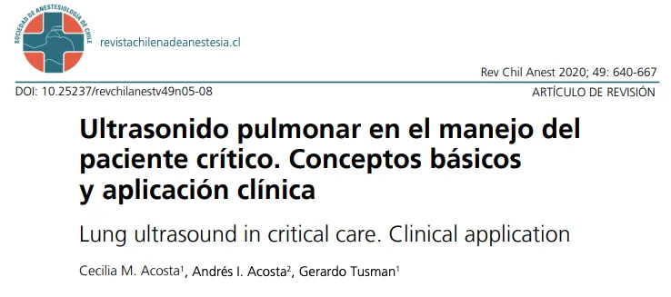 ecografía pulmonar en paciente crítico