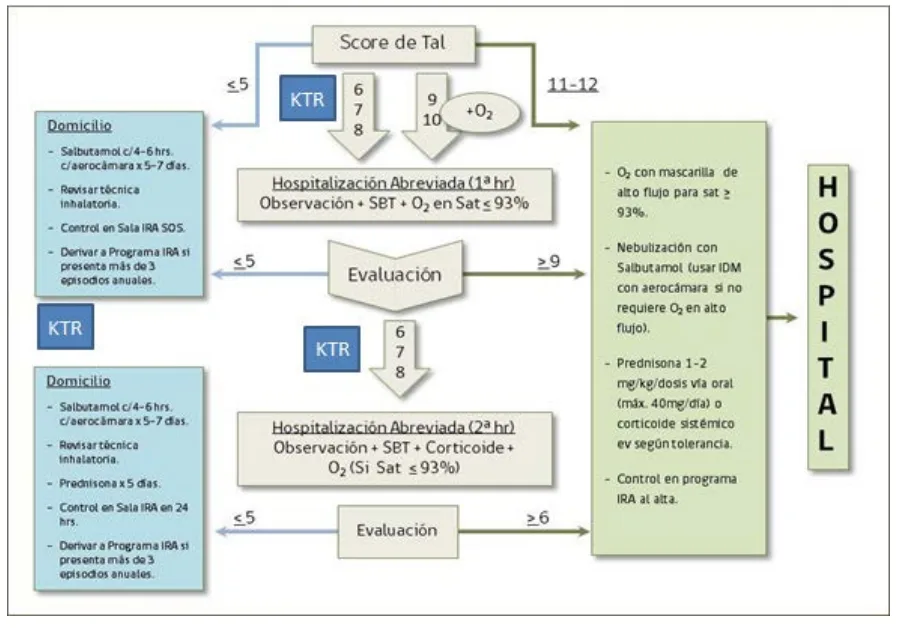 Score IRA para guía clínica de kinesiología y fisioterapia