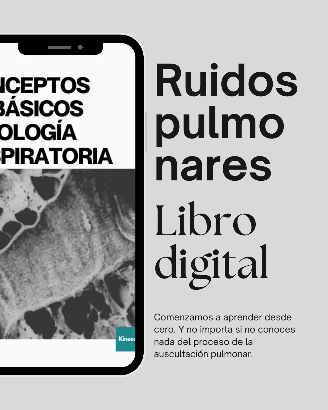 GUÍA DE AUSCULTACIÓN PULMONAR BÁSICA
